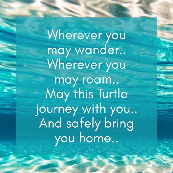 Travel Turtle Keyring Turquoise - Picture 6 of 6